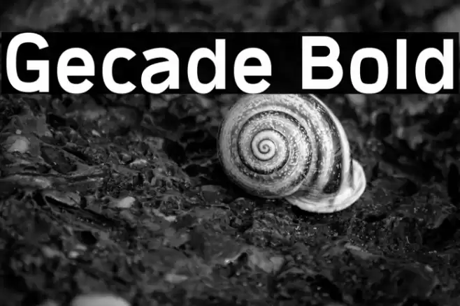 Gecade Bold Font examples