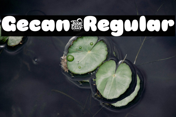 Gecan-Regular Example 1