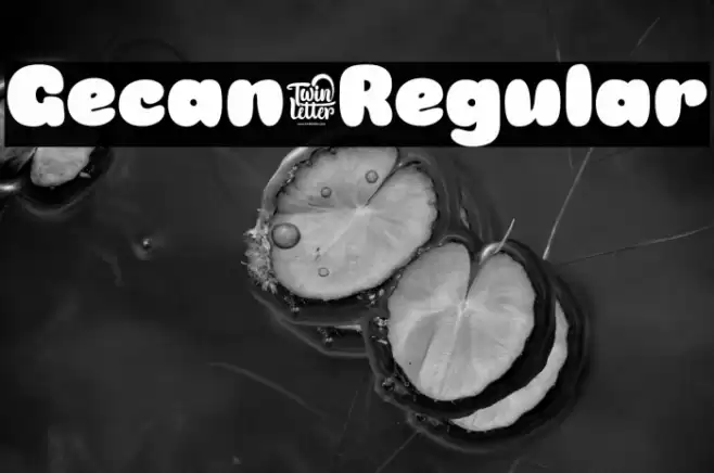 Gecan-Regular Font examples