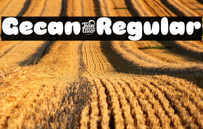 Gecan-Regular Example 2