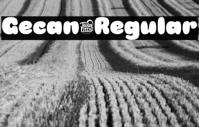 Gecan-Regular Font examples