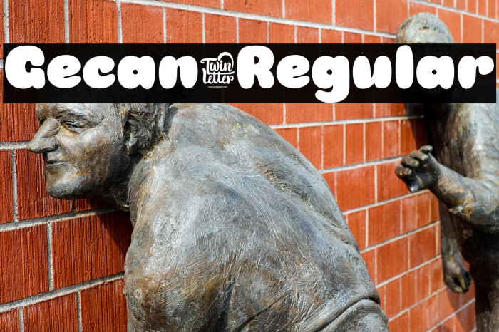 Gecan-Regular Example 3