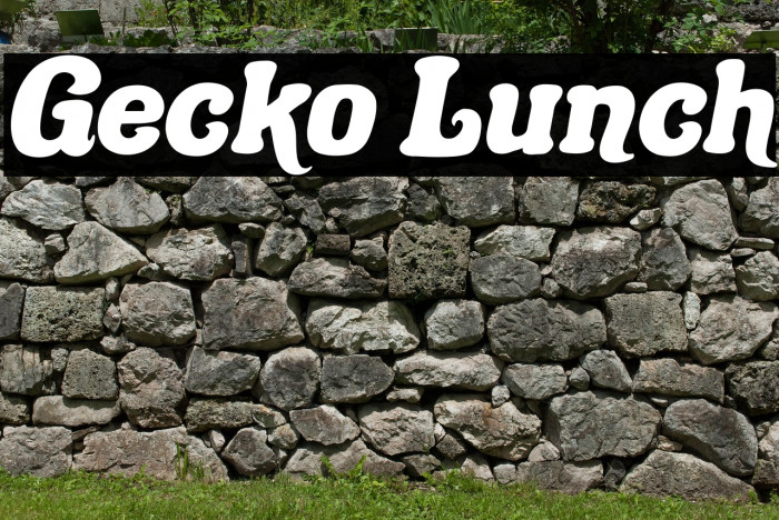 Gecko Lunch Example 1