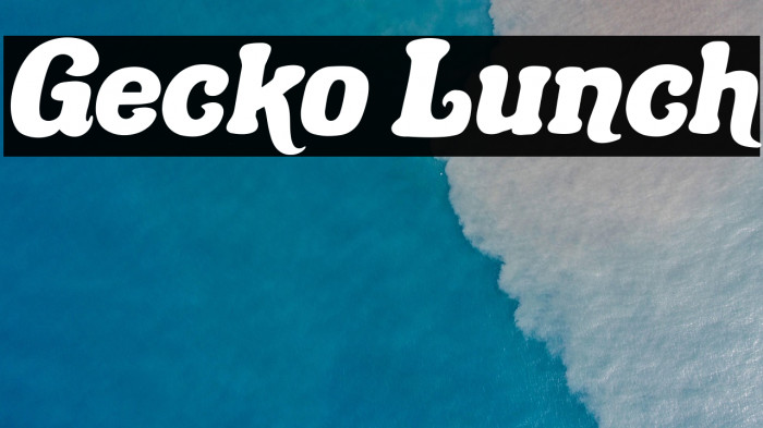 Gecko Lunch Example 2