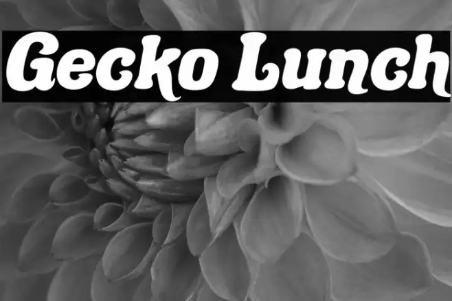 Gecko Lunch Caratteri examples