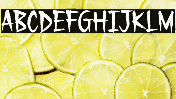 Gecko Moria Demo Example 1