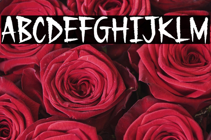 Gecko Moria Demo Example 2