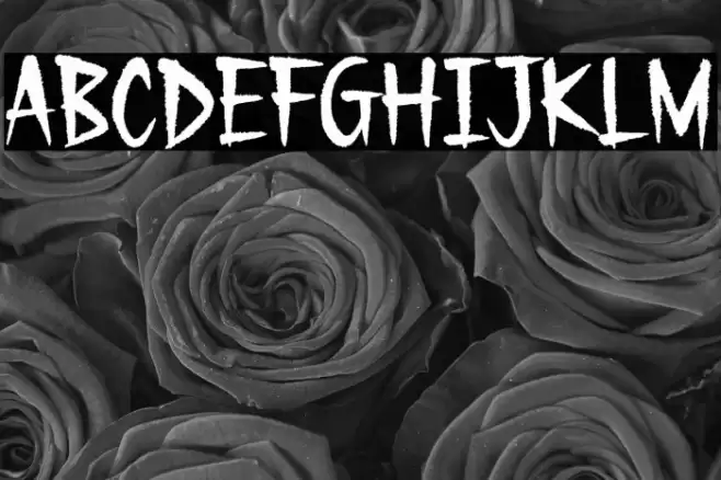 Gecko Moria Demo Font examples