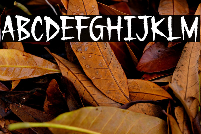 Gecko Moria Demo Example 3