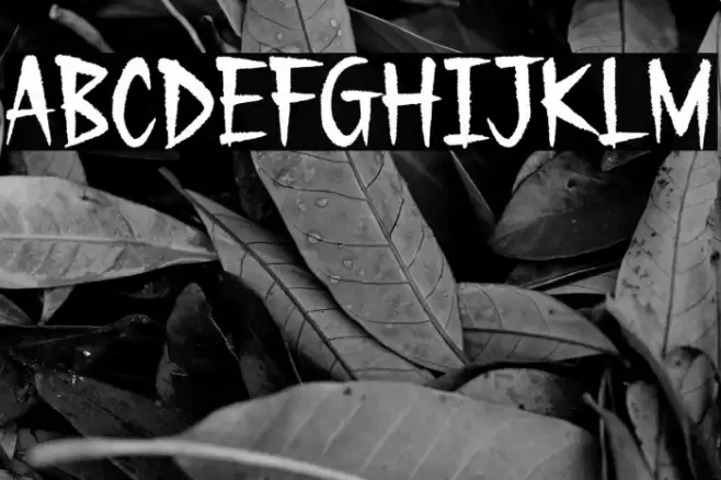 Gecko Moria Demo Font examples