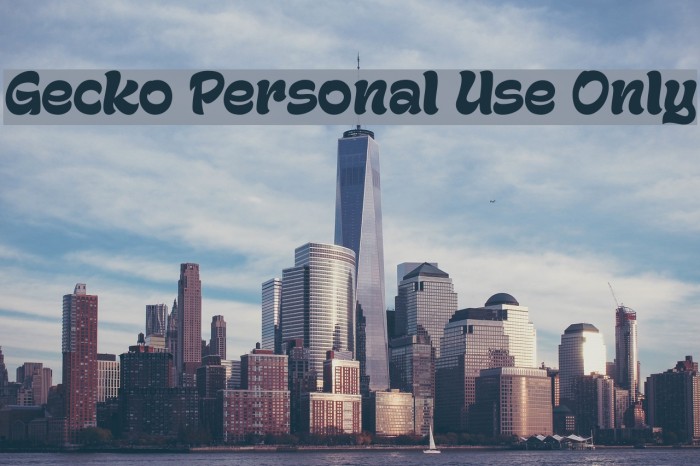 Gecko Personal Use Only Font examples