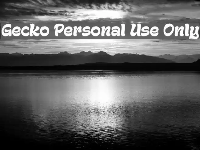 Gecko Personal Use Only Font examples