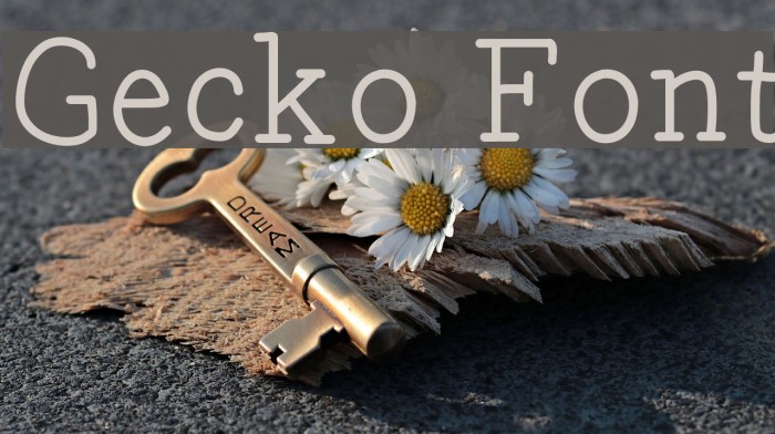 Gecko Font examples