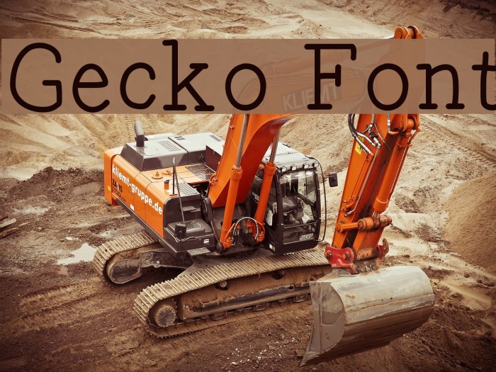 Gecko Font examples
