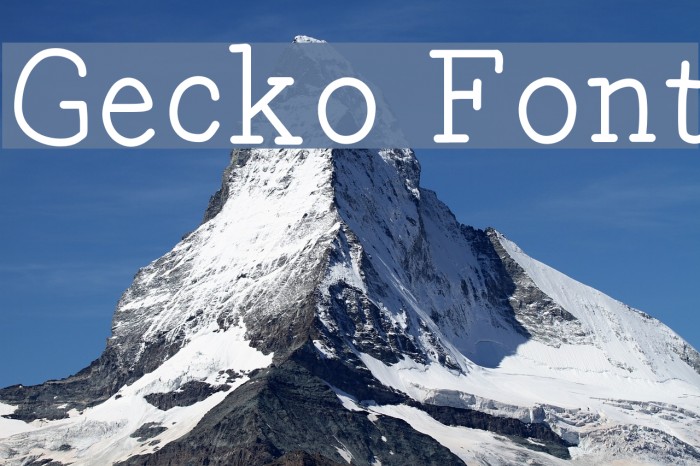 Gecko Font examples