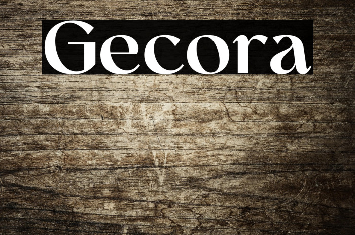 Gecora Example 1