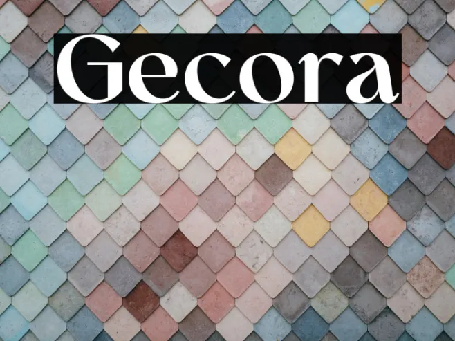Gecora Example 3