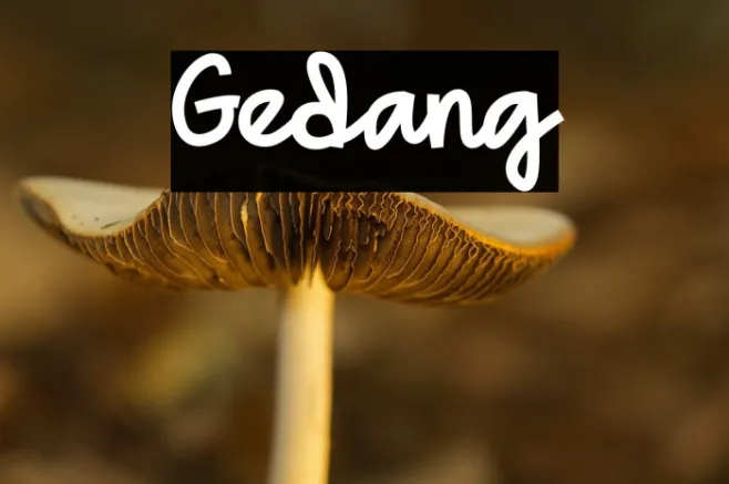 Gedang Example 1