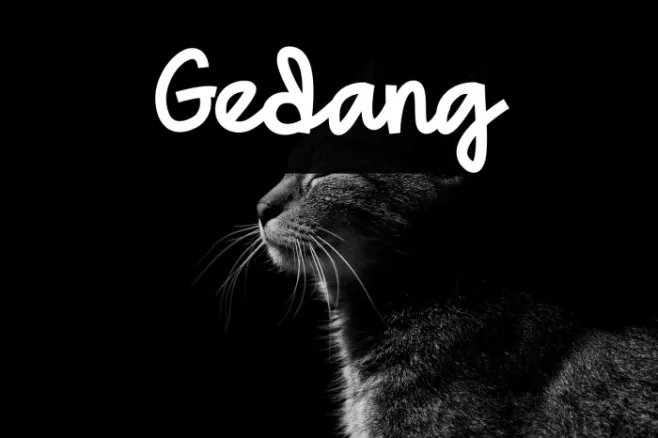 Gedang Example 2