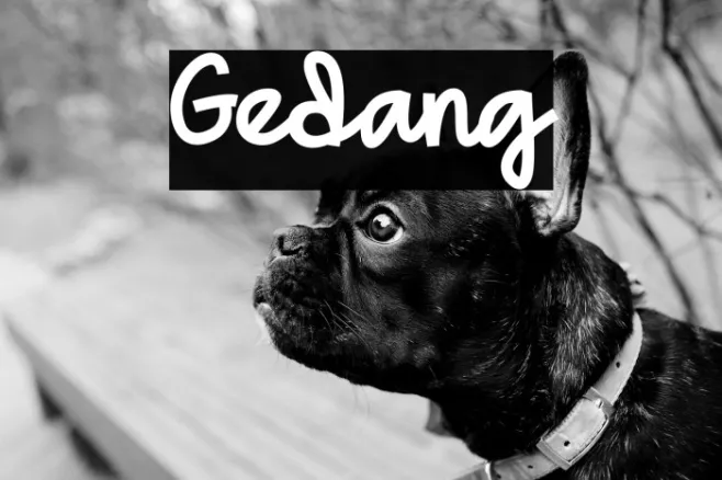 Gedang Example 3