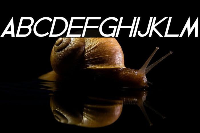 Geddes Bold Italic Example 1