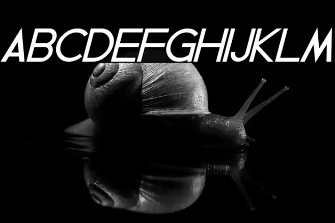 Geddes Bold Italic Font examples