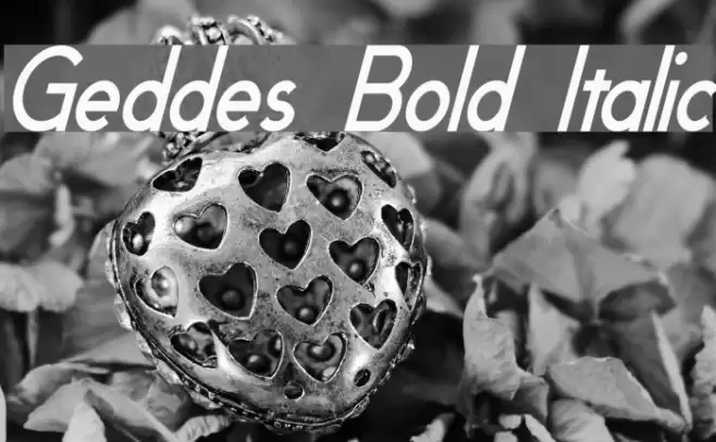 Geddes Bold Italic  examples