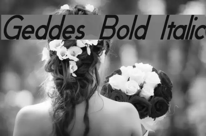 Geddes Bold Italic  examples