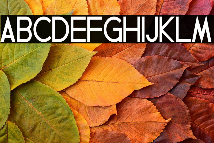 Geddes Bold Example 1