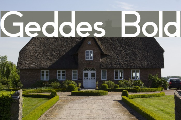 Geddes Bold Font examples