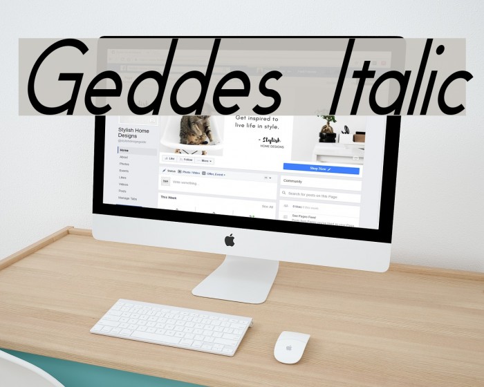 Geddes Italic Font examples