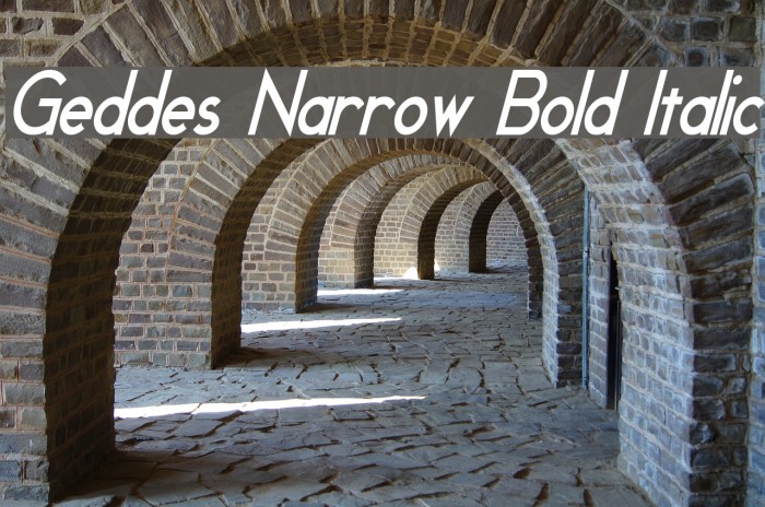 Geddes Narrow Bold Italic Font examples