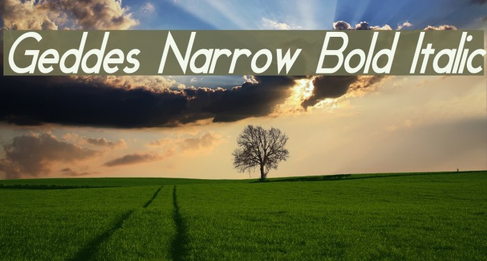 Geddes Narrow Bold Italic Font examples