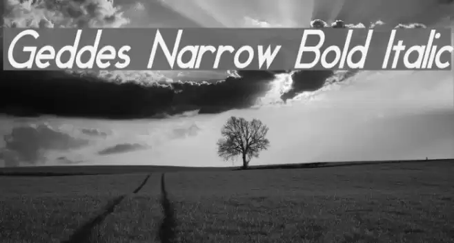 Geddes Narrow Bold Italic Fonte examples