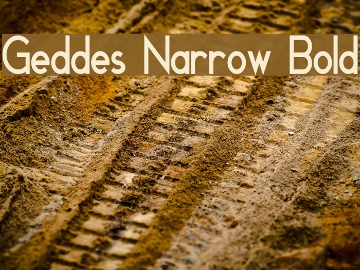 Geddes Narrow Bold Font examples