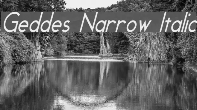 Geddes Narrow Italic Font examples