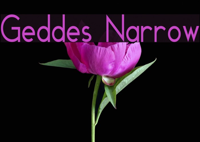 Geddes Narrow Example 2