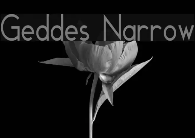 Geddes Narrow Font examples