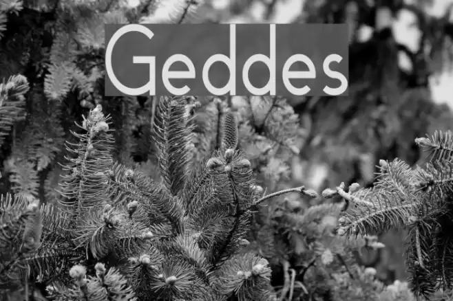 Geddes Font examples