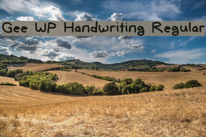 Gee WP Handwriting Regular Font examples