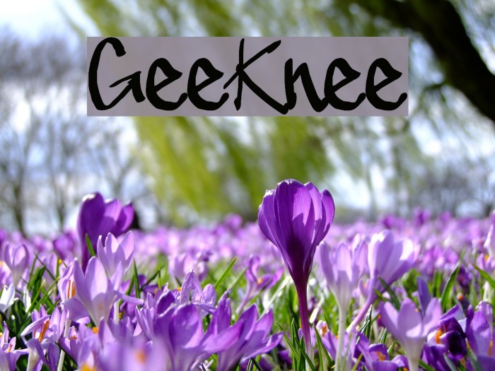 GeeKnee Font examples