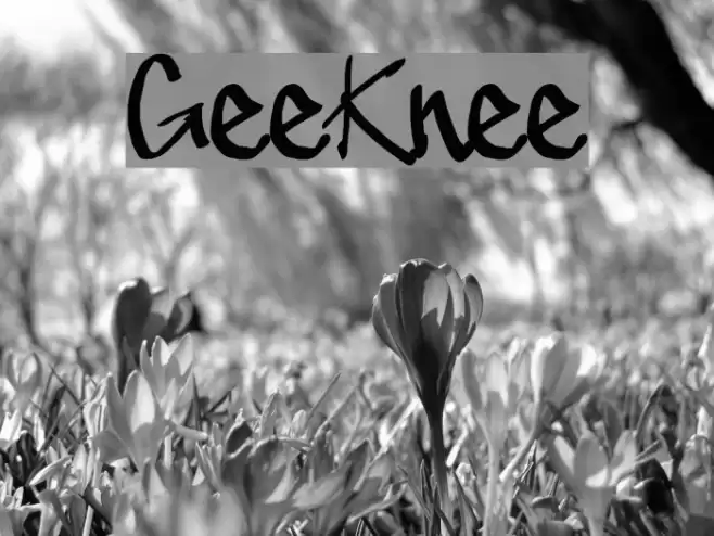 GeeKnee Polices examples