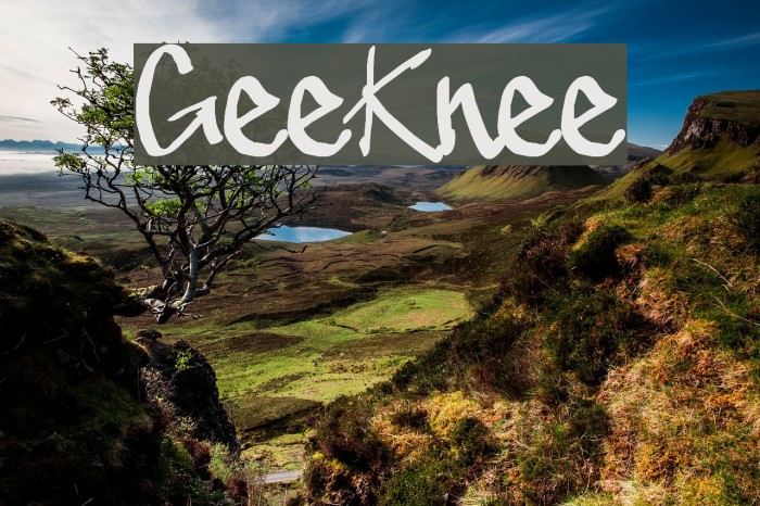 GeeKnee Font examples