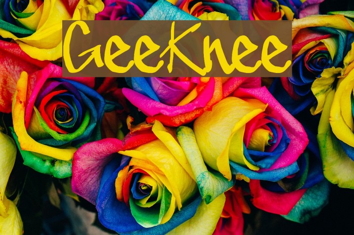 GeeKnee Font examples