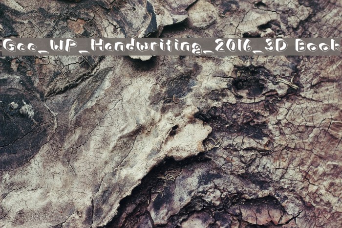 Gee_WP_Handwriting_2016_3D Book フォント examples