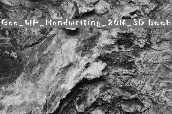 Gee_WP_Handwriting_2016_3D Book Schriftart examples