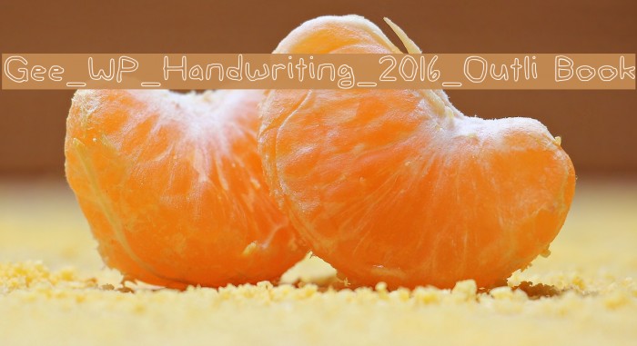 Gee_WP_Handwriting_2016_Outli Book Font examples