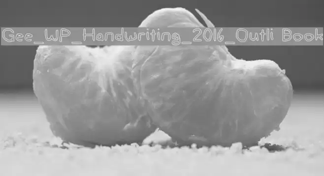 Gee_WP_Handwriting_2016_Outli Book Schriftart examples