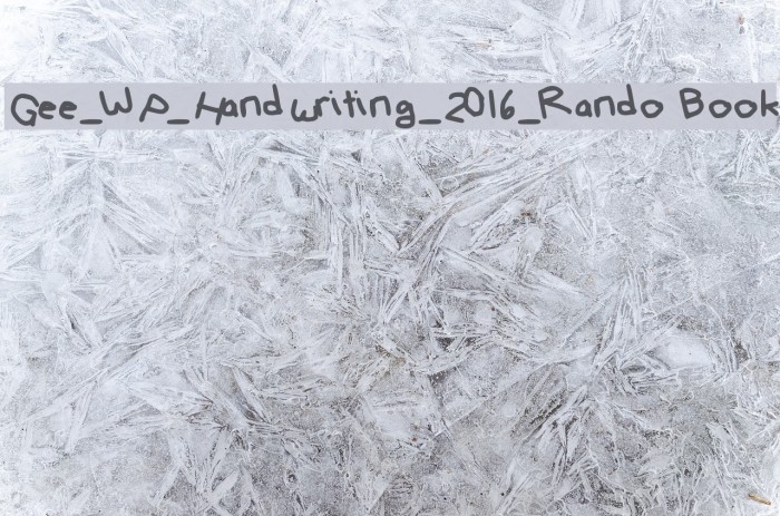 Gee_WP_Handwriting_2016_Rando Book Font examples