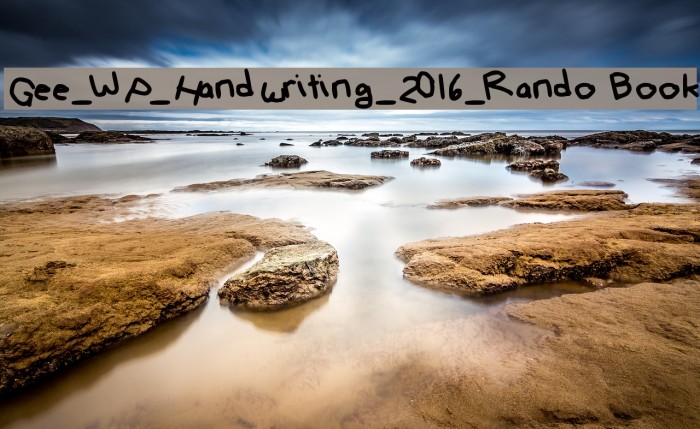 Gee_WP_Handwriting_2016_Rando Book Font examples